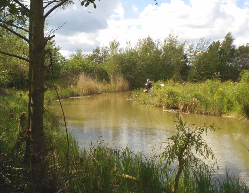 redwood fishing lakes