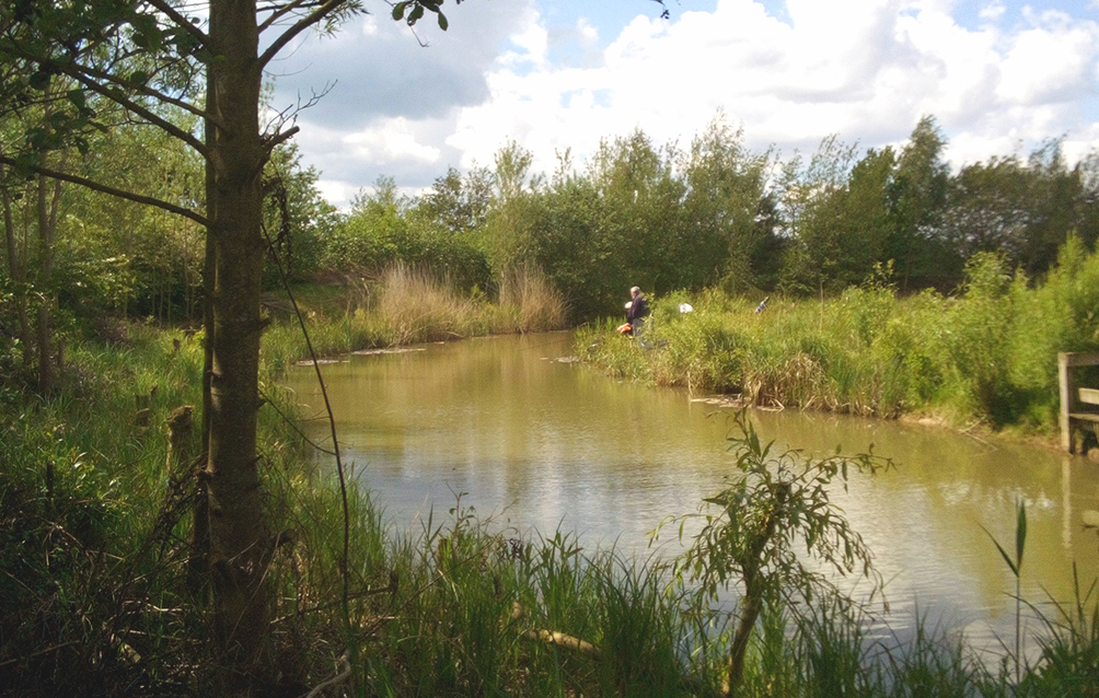 redwood fishing lakes